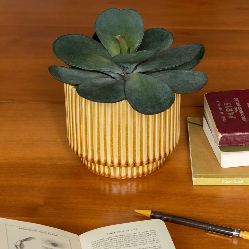 Mustard Plant Pot