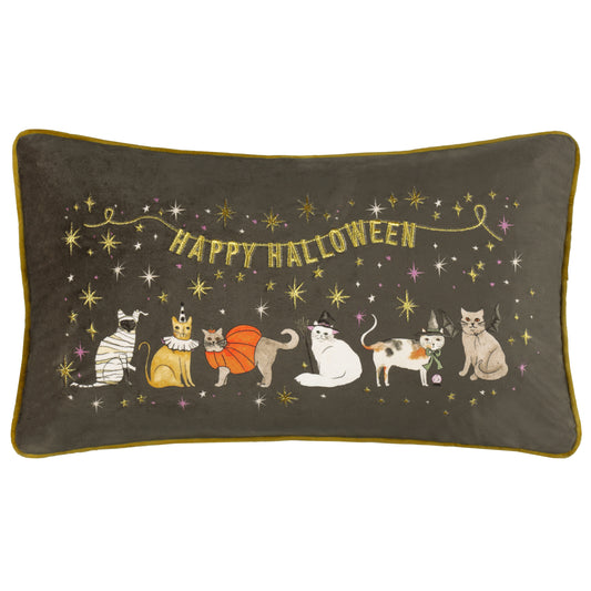 Halloween Cat 'Pawty' Throw Cushion
