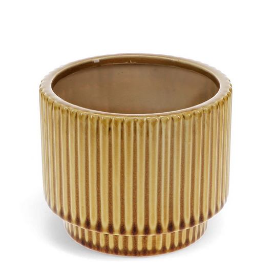 Mustard Plant Pot